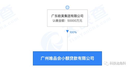 欧昊集团全资控股唯品会小贷,唯品会母公司退出