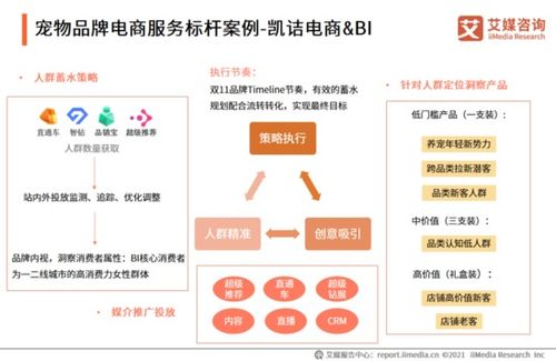 2021年中國品牌電商服務商行業研究報告